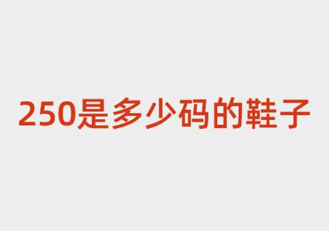 250是多少碼的鞋子-250碼是多少碼(40)